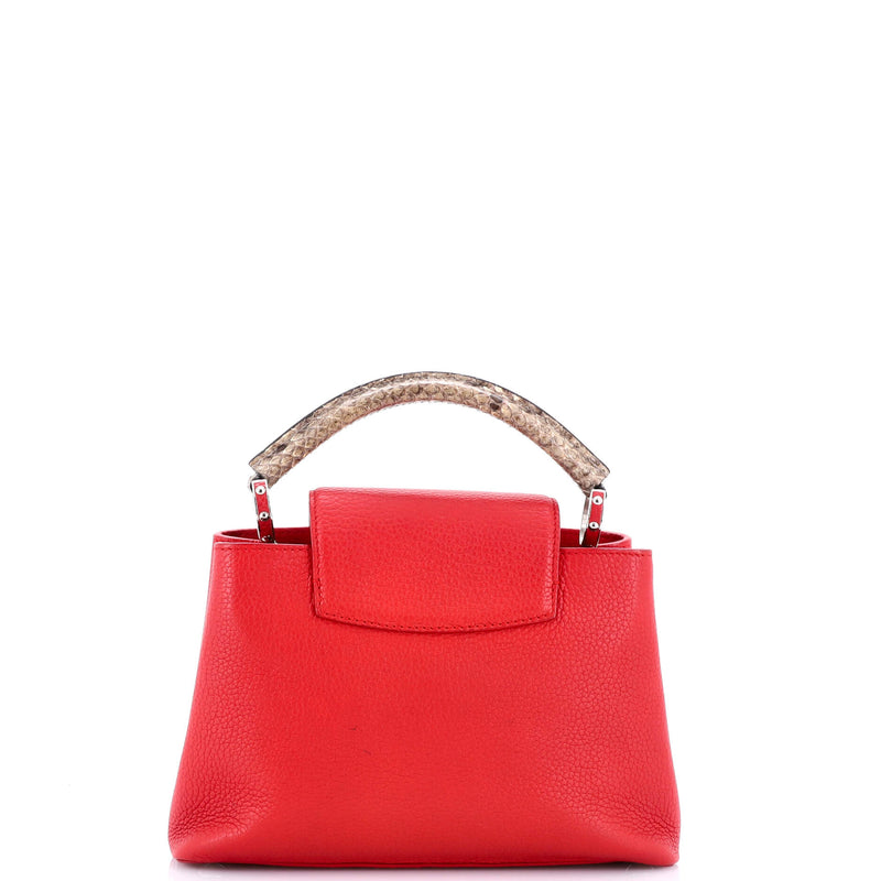 Louis Vuitton Capucines Bag Leather With