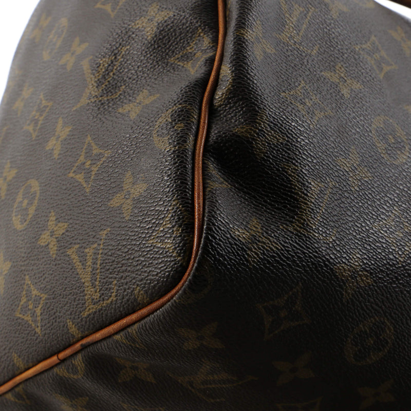 Louis Vuitton Speedy Handbag Canvas 30