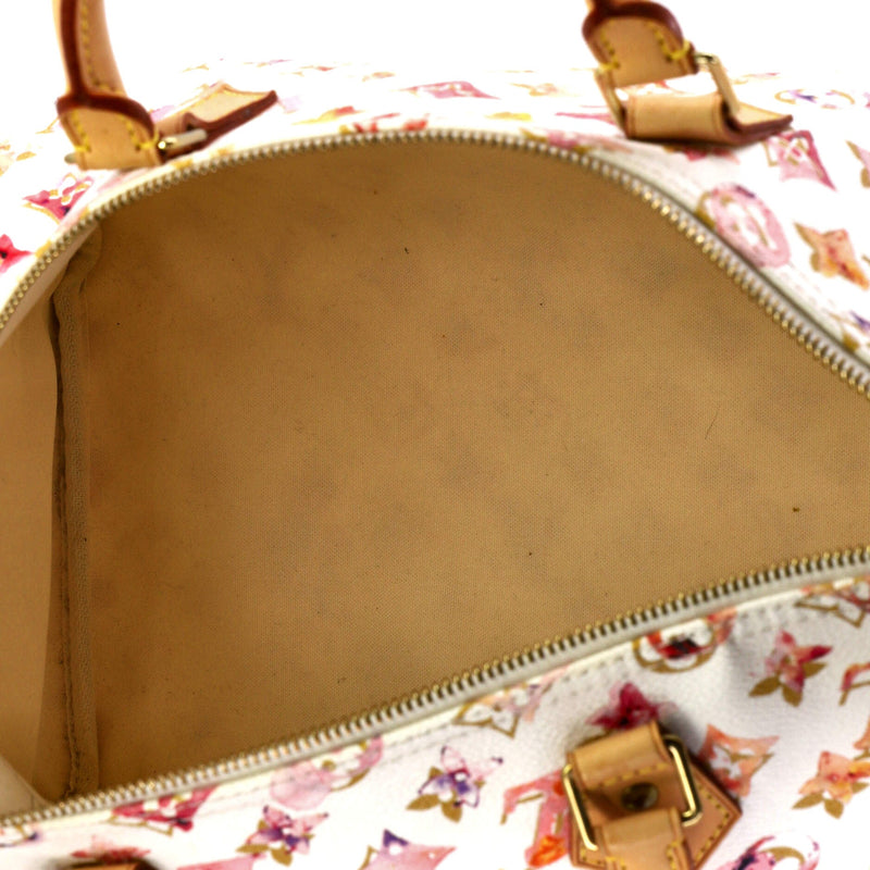 Louis Vuitton Speedy Handbag Watercolor