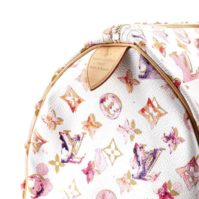 Louis Vuitton Speedy Handbag Watercolor
