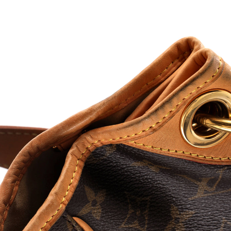 Louis Vuitton Galliera Handbag Canvas Pm