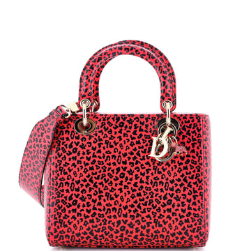 Christian Dior Lady Bag Printed Leather