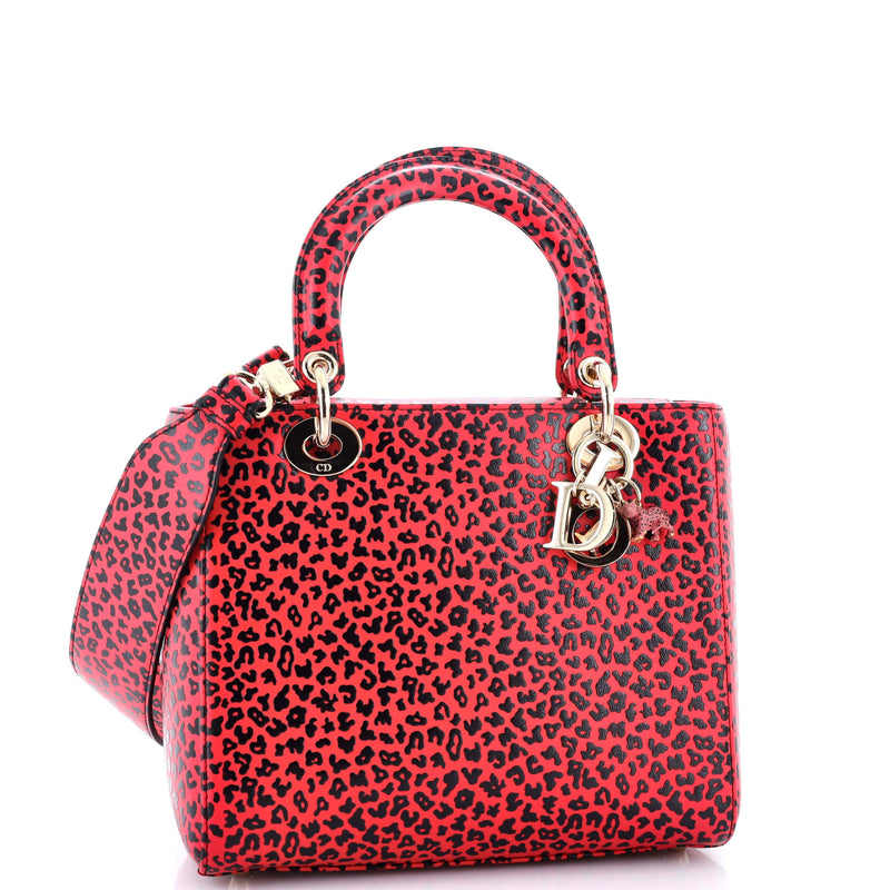 Christian Dior Lady Bag Printed Leather