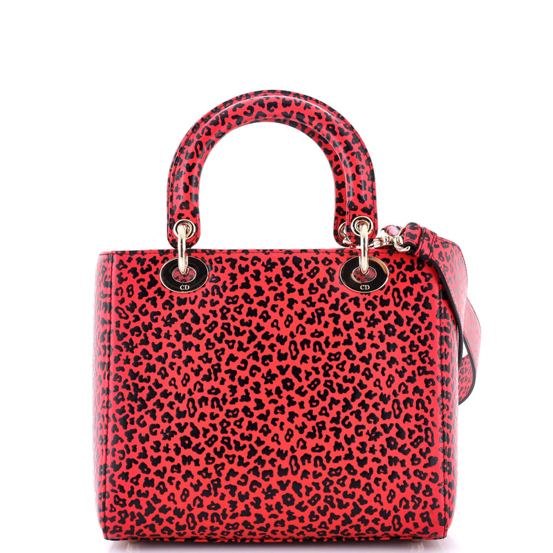 Christian Dior Lady Bag Printed Leather