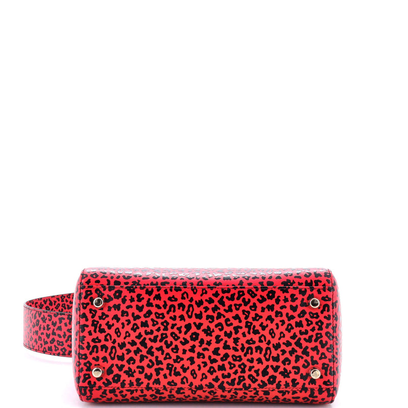 Christian Dior Lady Bag Printed Leather