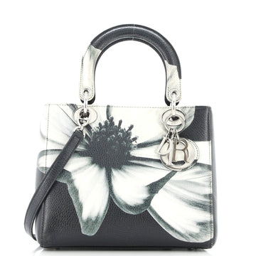 Christian Dior Lady Bag Printed Leather