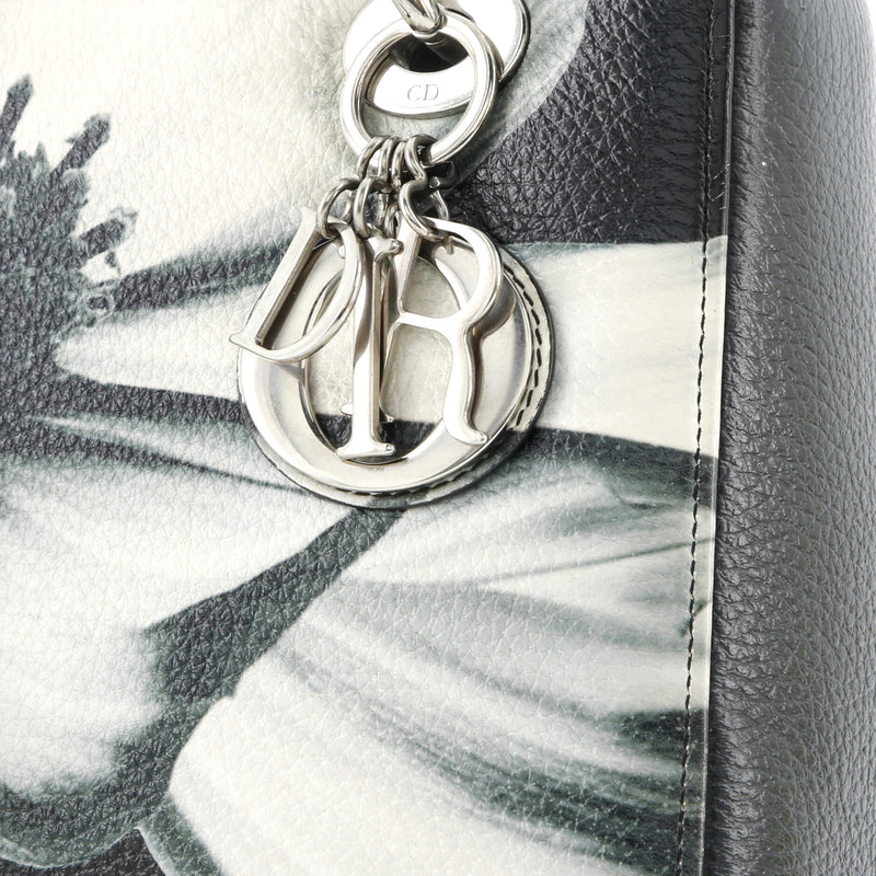 Christian Dior Lady Bag Printed Leather