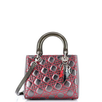 Christian Dior Lady Bag Anselm Reyle