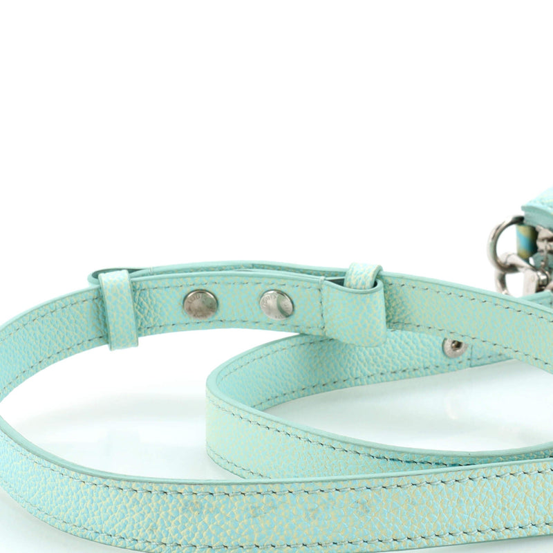 Louis Vuitton Multi Pochette Accessoires