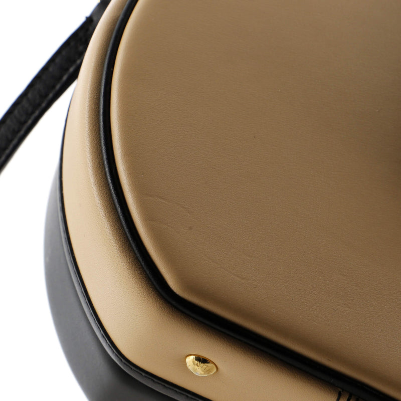 Louis Vuitton Petite Boite Chapeau Bag