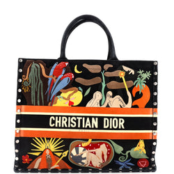 Christian Dior Book Tote Multicolor
