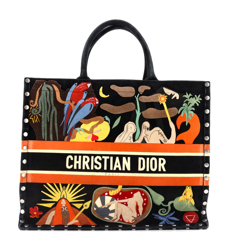 Christian Dior Book Tote Multicolor