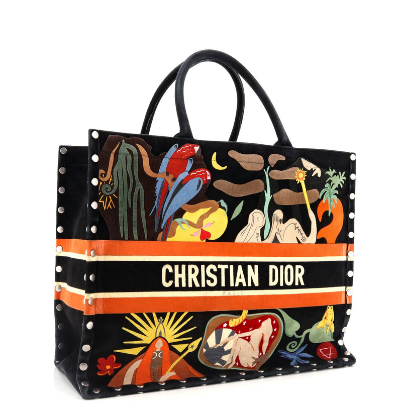 Christian Dior Book Tote Multicolor