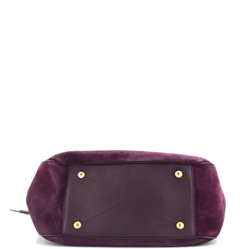 Louis Vuitton Audacieuse Handbag