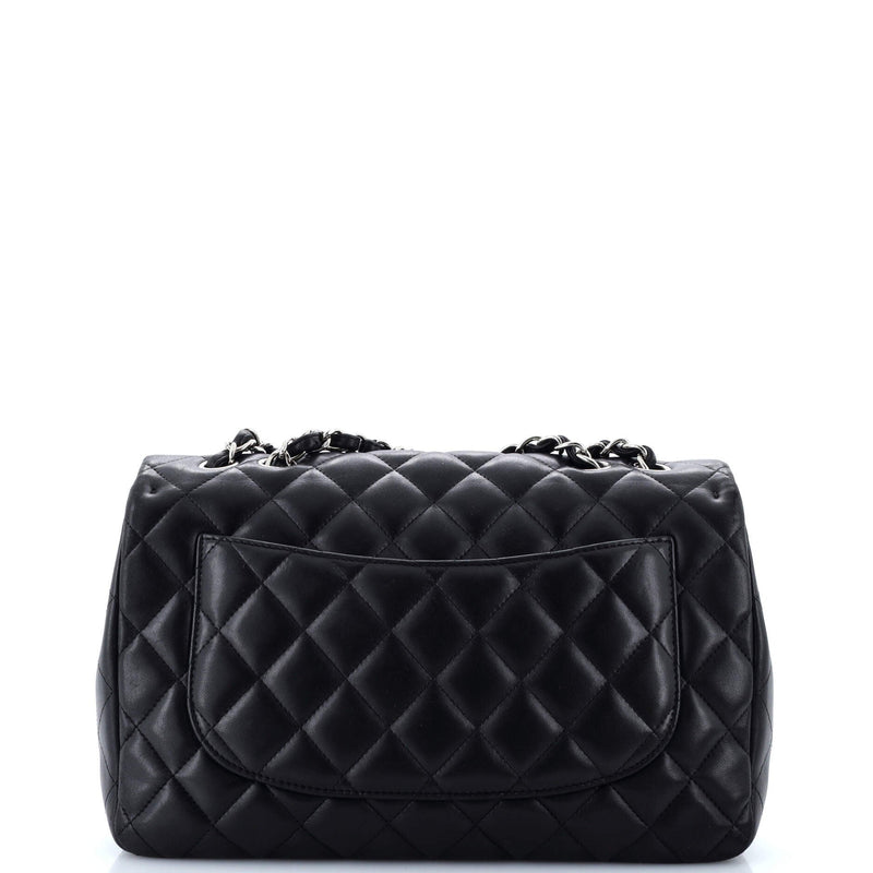 Chanel Classic Single Flap Bag Quilted
