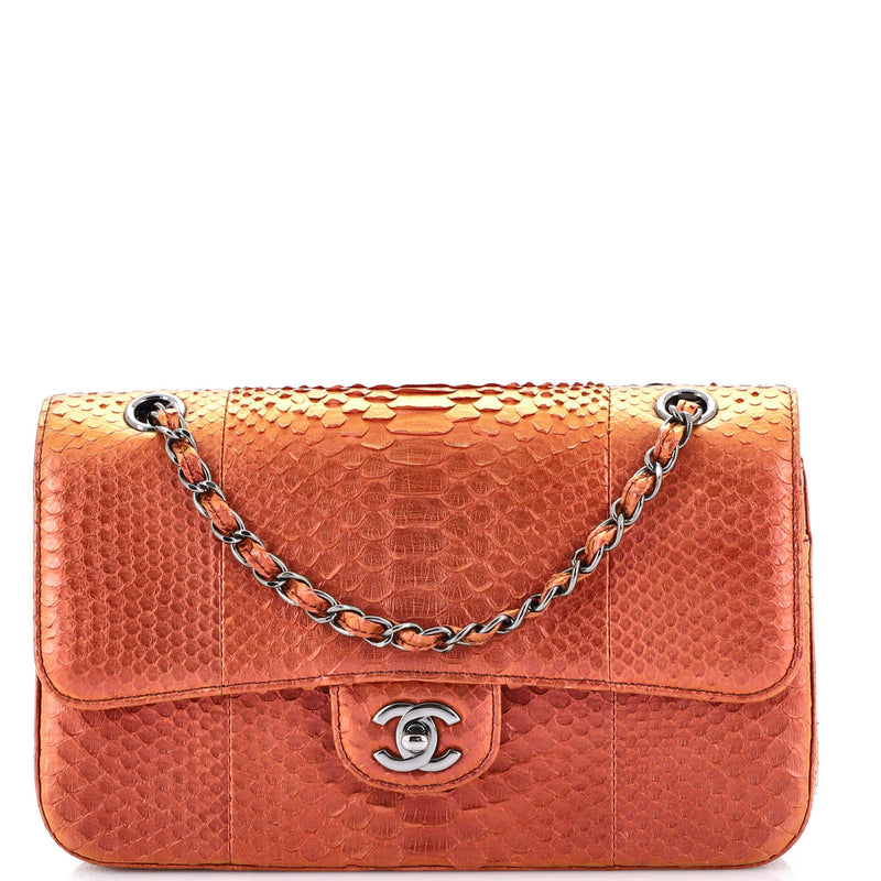 Chanel Classic Double Flap Bag Python