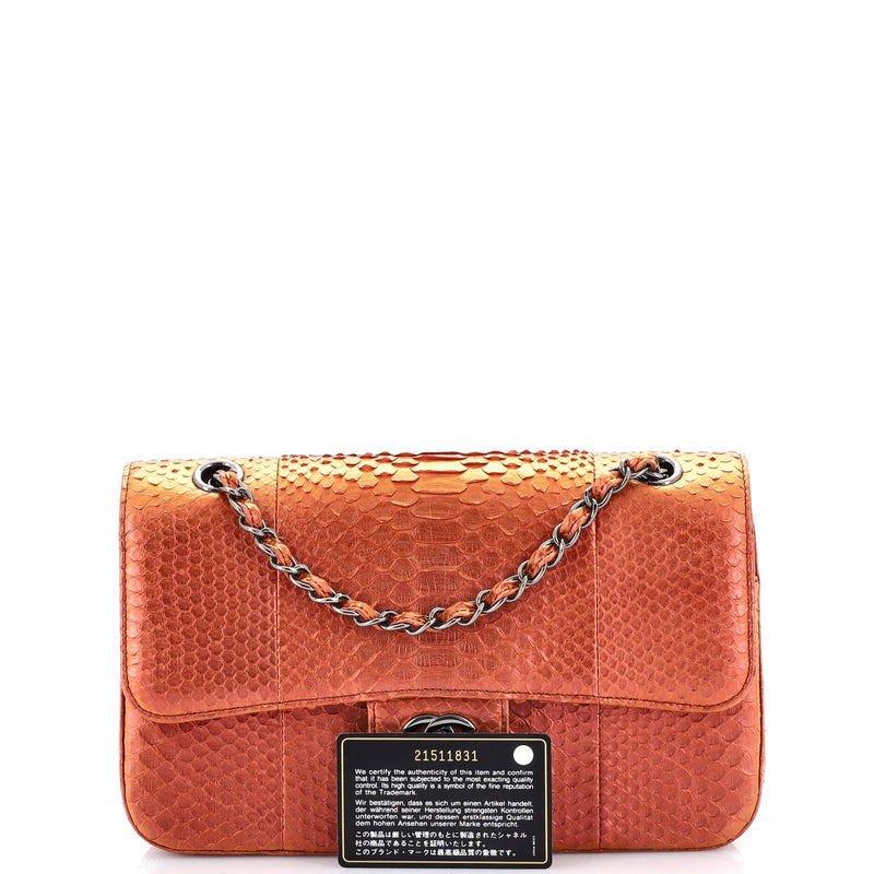 Chanel Classic Double Flap Bag Python