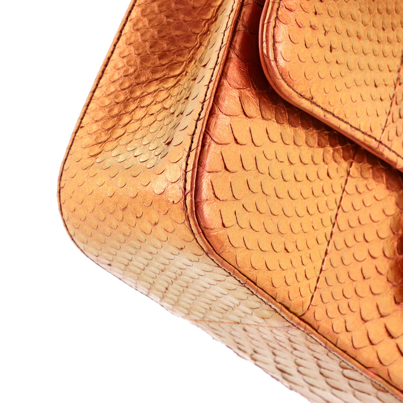 Chanel Classic Double Flap Bag Python