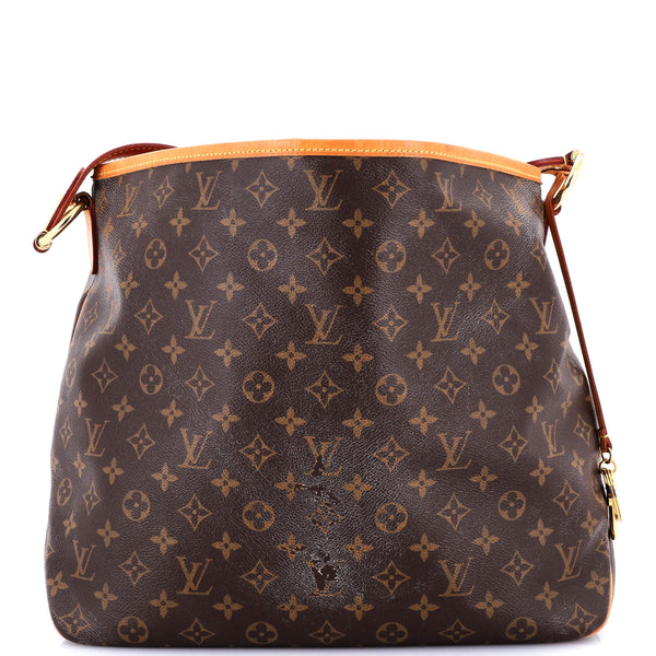 Louis Vuitton Delightful Nm Handbag
