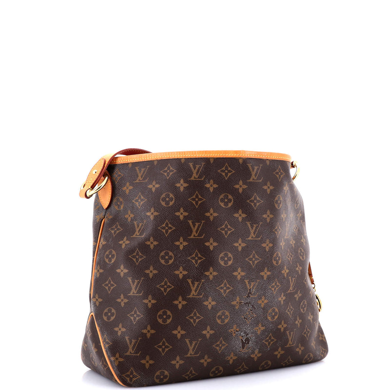 Louis Vuitton Delightful Nm Handbag