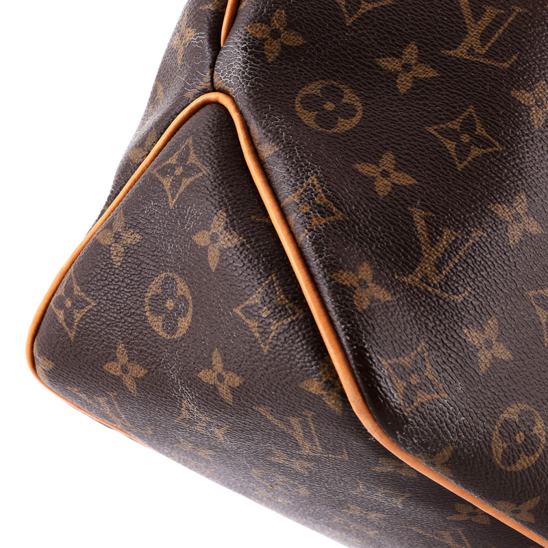 Louis Vuitton Delightful Nm Handbag