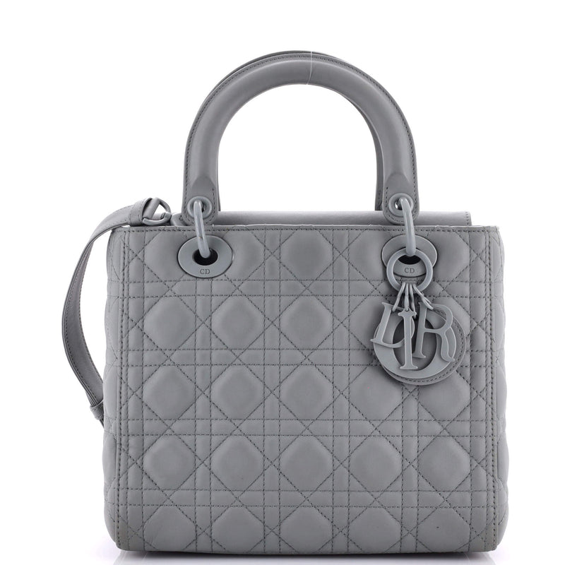 Christian Dior Ultra Matte Lady Bag