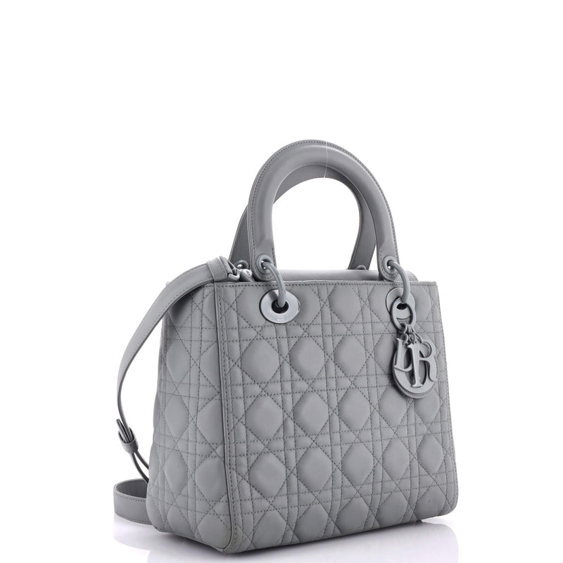 Christian Dior Ultra Matte Lady Bag