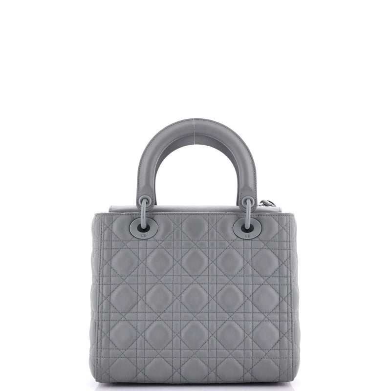 Christian Dior Ultra Matte Lady Bag