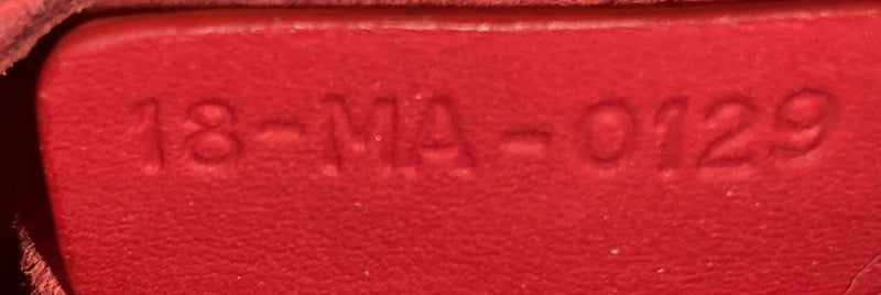 Christian Dior Ultra Matte Saddle