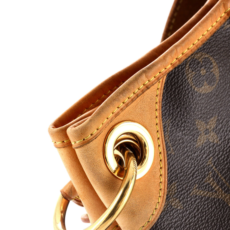 Louis Vuitton Galliera Handbag Canvas Pm