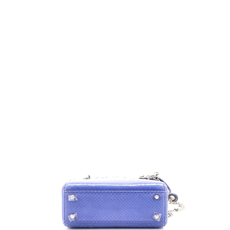 Christian Dior Lady Chain Bag Python