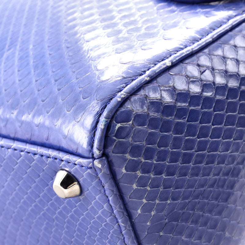 Christian Dior Lady Chain Bag Python