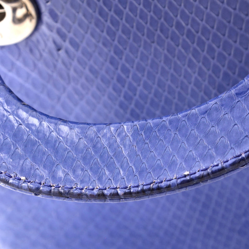 Christian Dior Lady Chain Bag Python