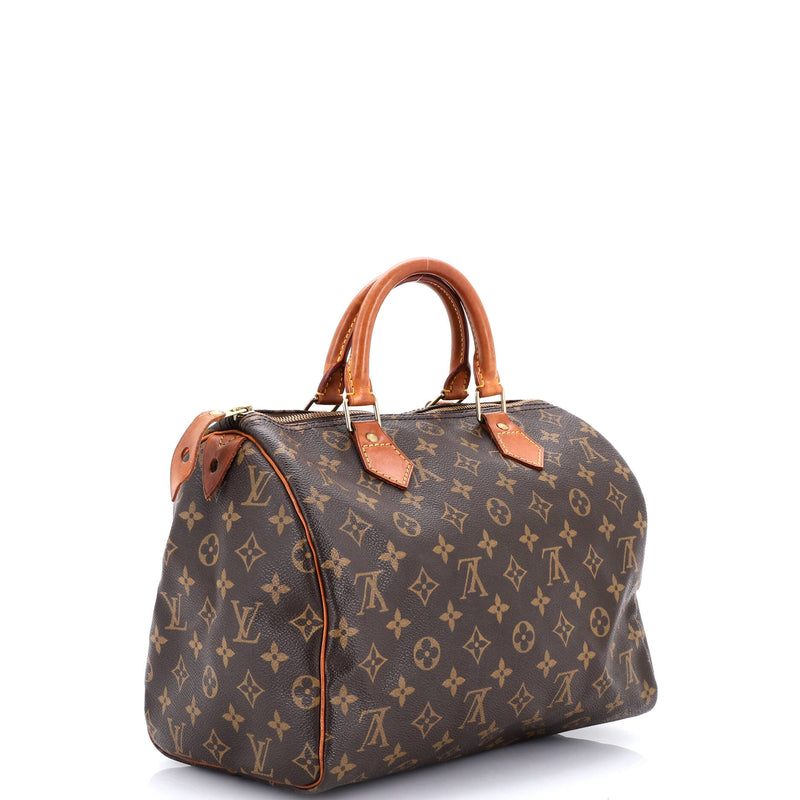 Louis Vuitton Speedy Handbag Canvas 30