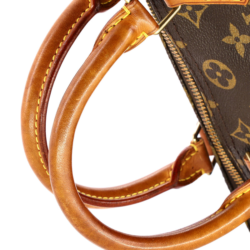 Louis Vuitton Speedy Handbag Canvas 30