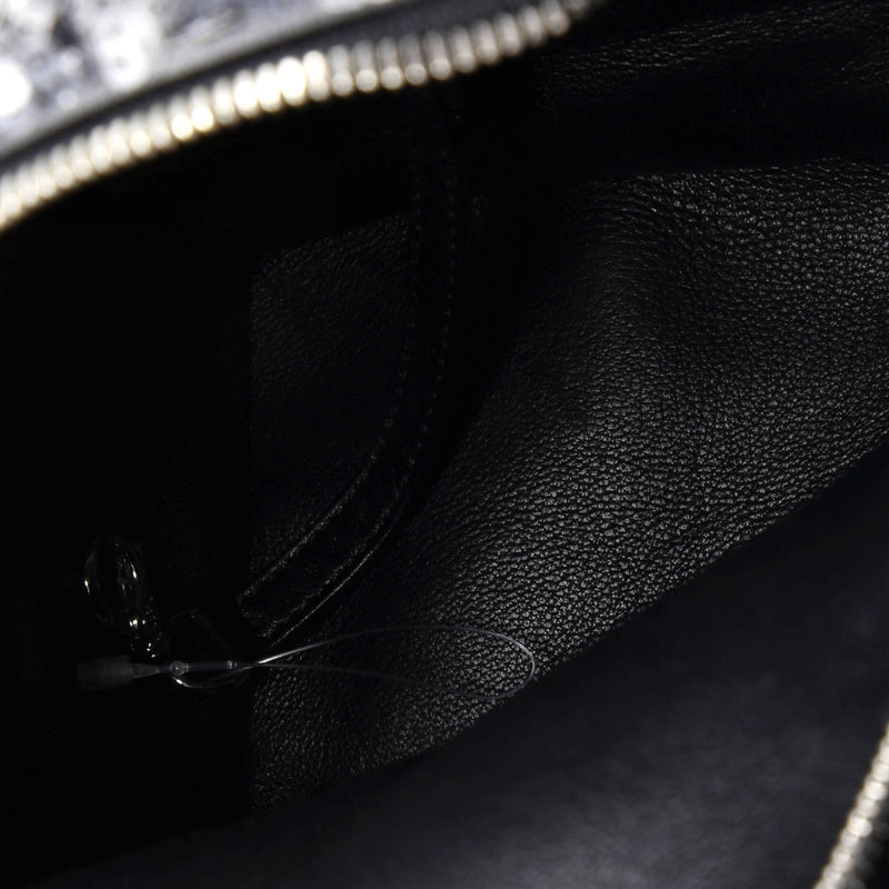 Chanel Waterfall Backpack Sequins With