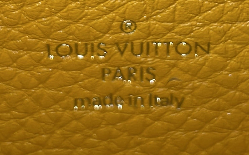 Louis Vuitton Lv Pont 9 Soft Bag Leather