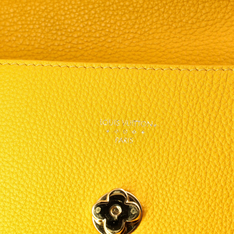 Louis Vuitton Lv Pont 9 Soft Bag Leather