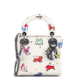 Christian Dior Lady Bag Limited Edition