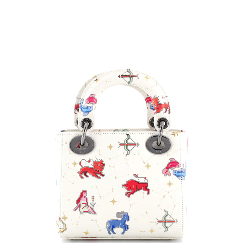 Christian Dior Lady Bag Limited Edition