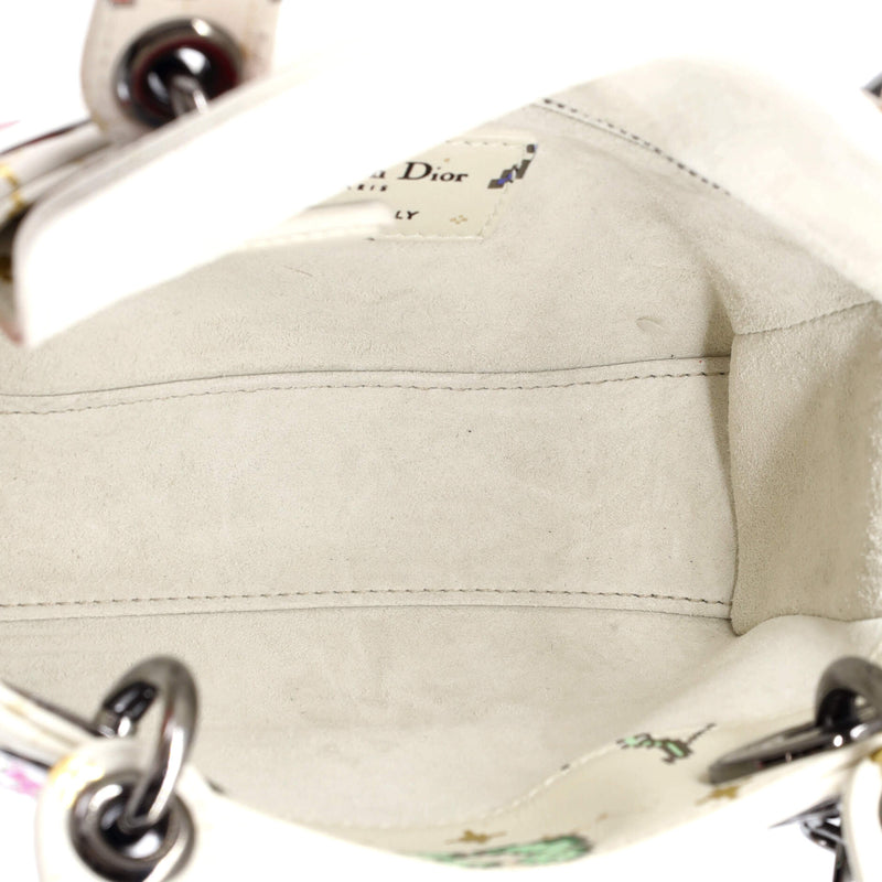Christian Dior Lady Bag Limited Edition