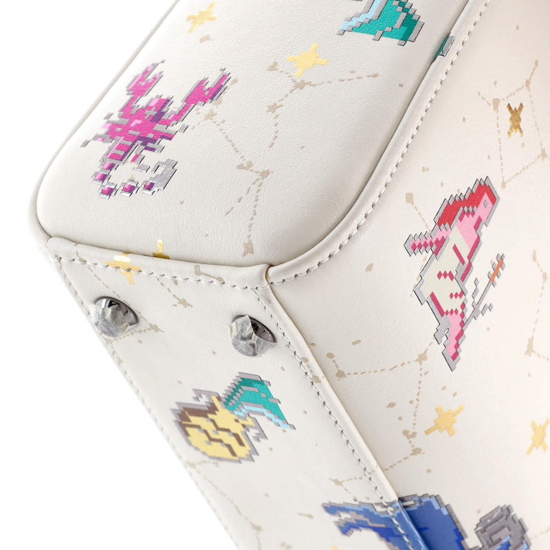 Christian Dior Lady Bag Limited Edition