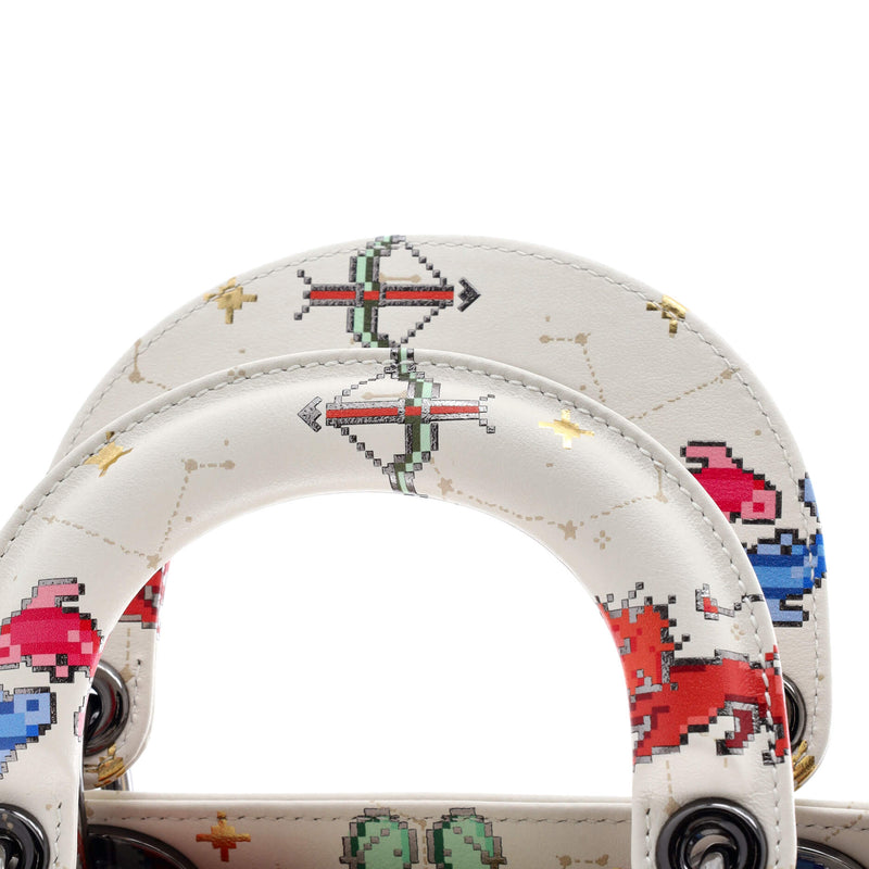 Christian Dior Lady Bag Limited Edition
