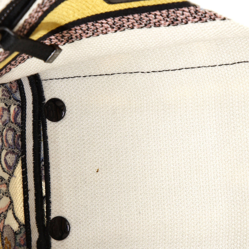 Christian Dior Lady D-Lite Bag