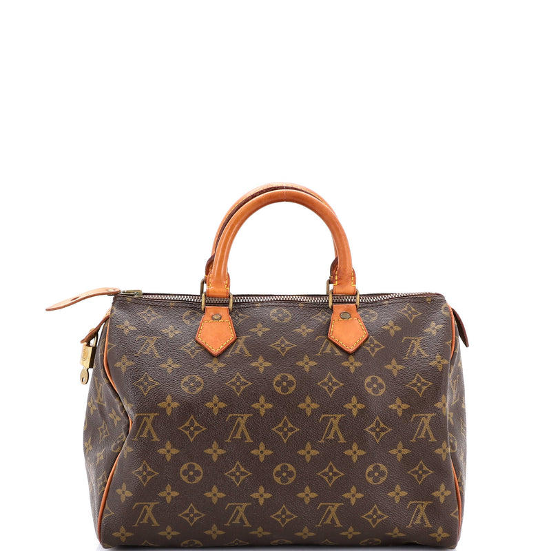 Louis Vuitton Speedy Handbag Canvas 35