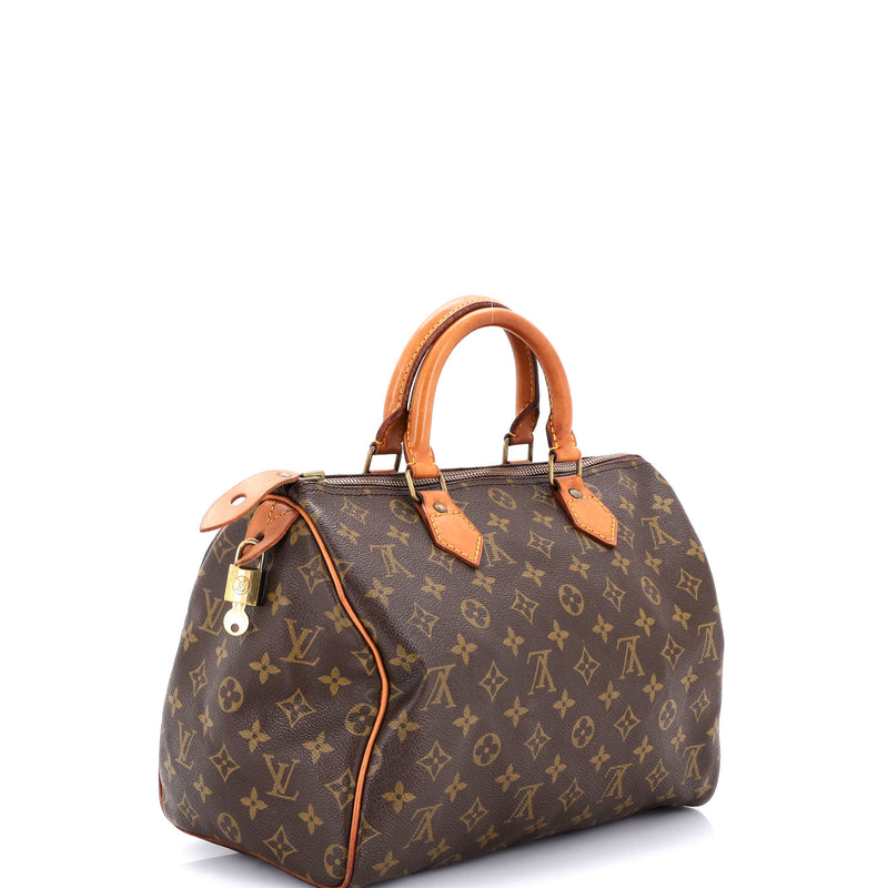 Louis Vuitton Speedy Handbag Canvas 35