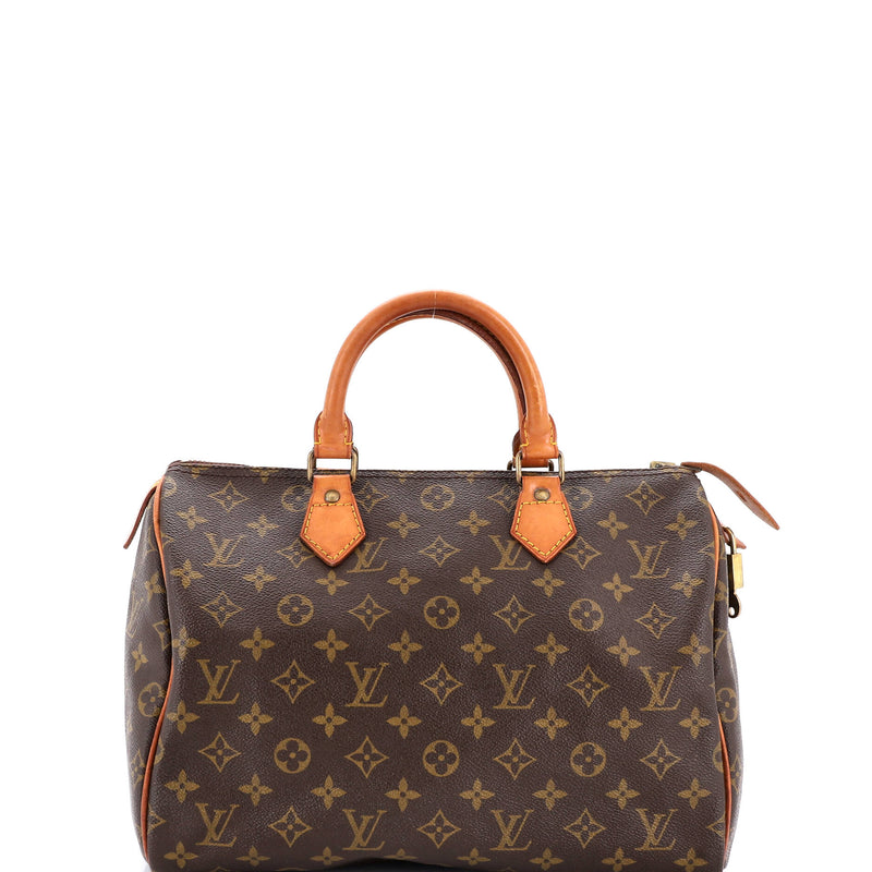 Louis Vuitton Speedy Handbag Canvas 35