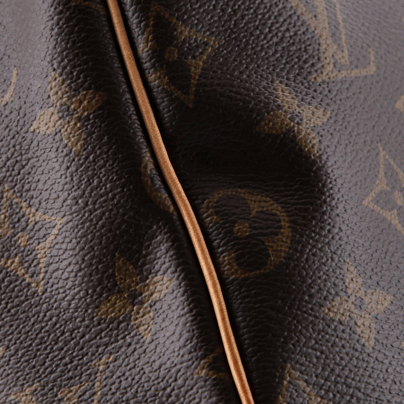 Louis Vuitton Speedy Handbag Canvas 35