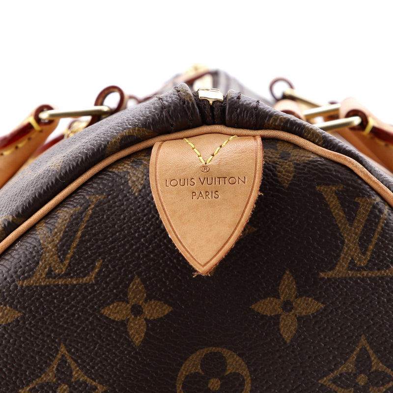 Louis Vuitton Speedy Handbag Canvas 35