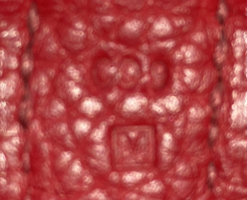 Hermes Picotin Bag Clemence Gm